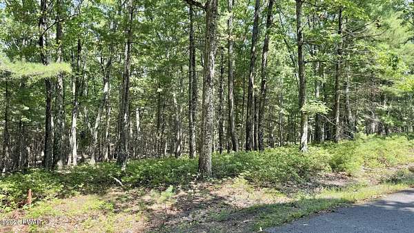 1 Acre of Residential Land for Sale in Tafton, Pennsylvania