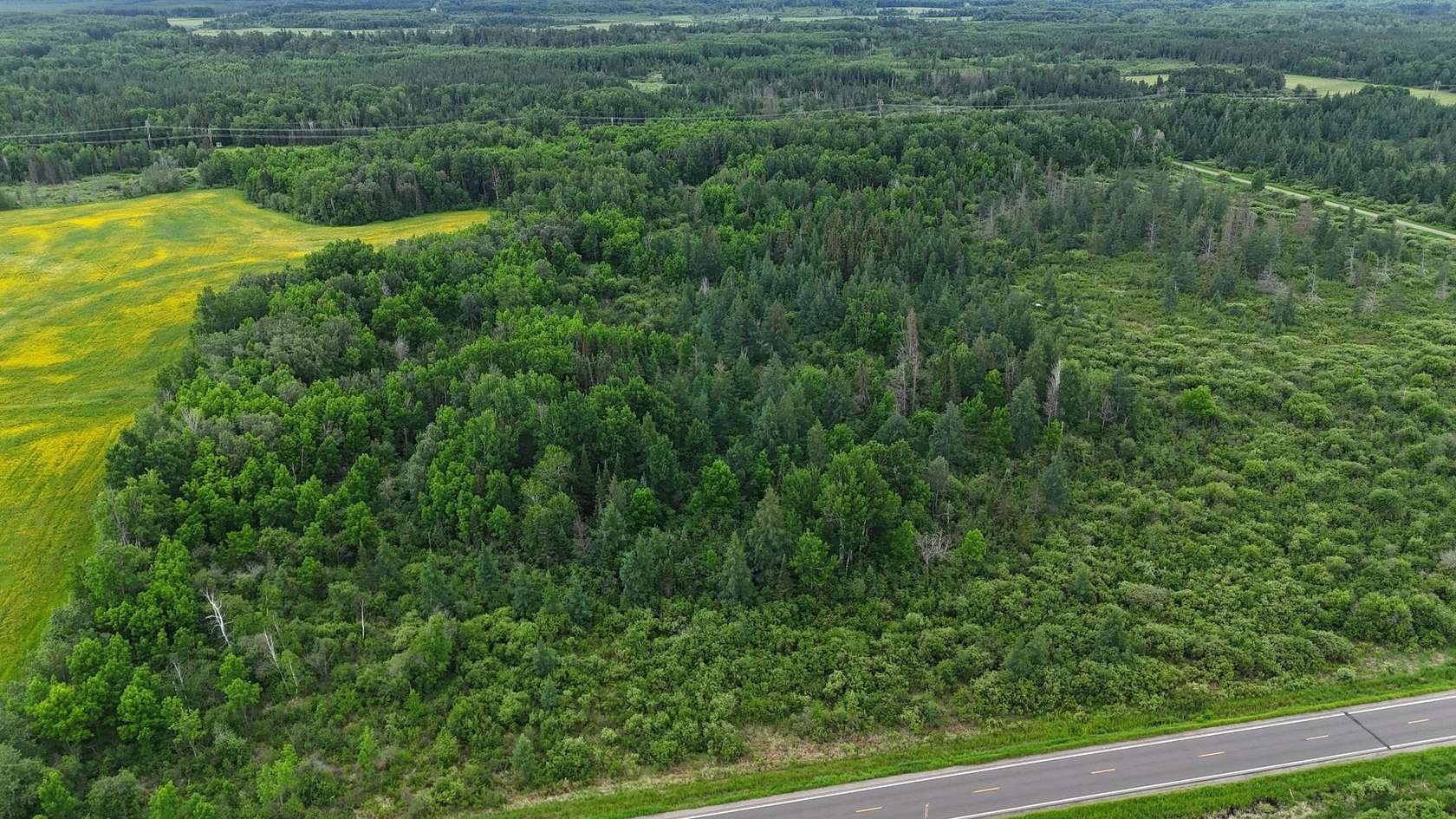 17.8 Acres of Recreational & Residential Land for Sale in Forbes, Minnesota