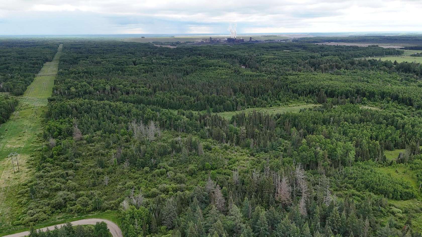 28 Acres of Recreational & Residential Land for Sale in Forbes, Minnesota