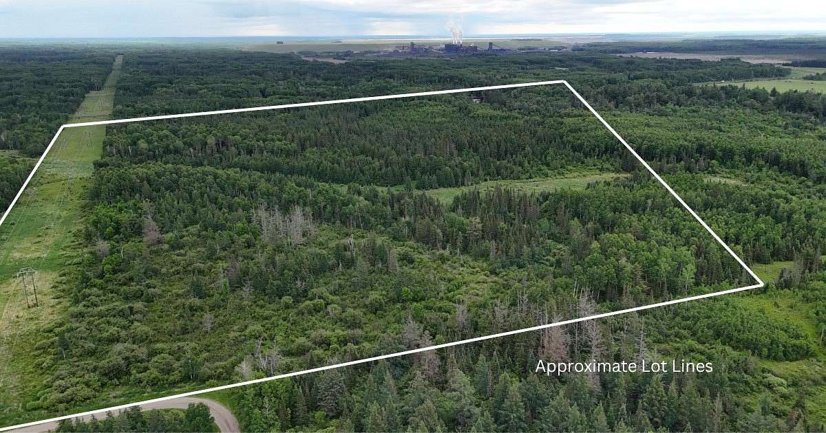 28 Acres of Recreational & Residential Land for Sale in Forbes, Minnesota