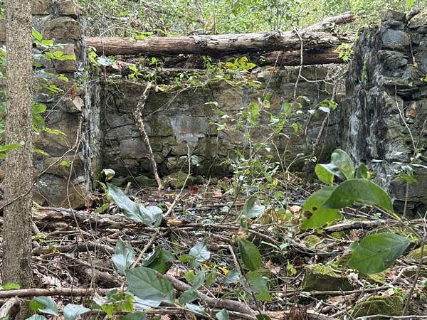 17.2 Acres of Recreational & Residential Land for Sale in Strafford, Missouri