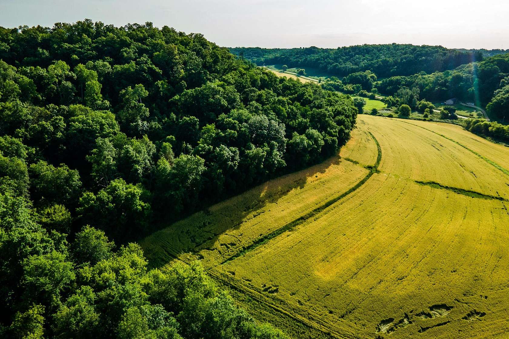 61.4 Acres of Land for Sale in Hill Point, Wisconsin