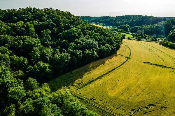 61.4 Acres of Land for Sale in Hill Point, Wisconsin