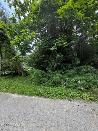 0.09 Acres of Residential Land for Sale in Weir, Kansas