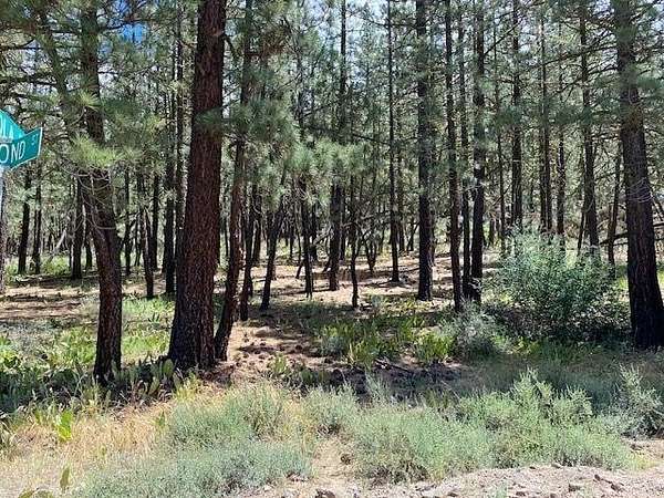 0.88 Acres of Land for Sale in Portola, California