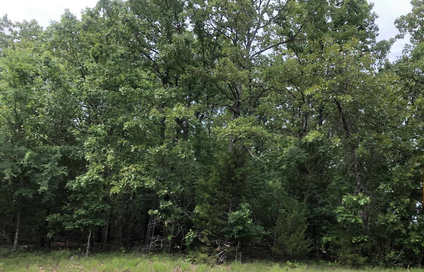 0.35 Acres of Residential Land for Sale in Cherokee Village, Arkansas