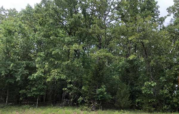 0.35 Acres of Residential Land for Sale in Cherokee Village, Arkansas