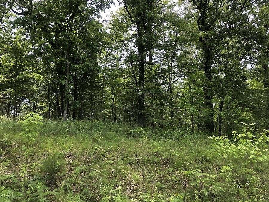 0.18 Acres of Residential Land for Sale in Cherokee Village, Arkansas