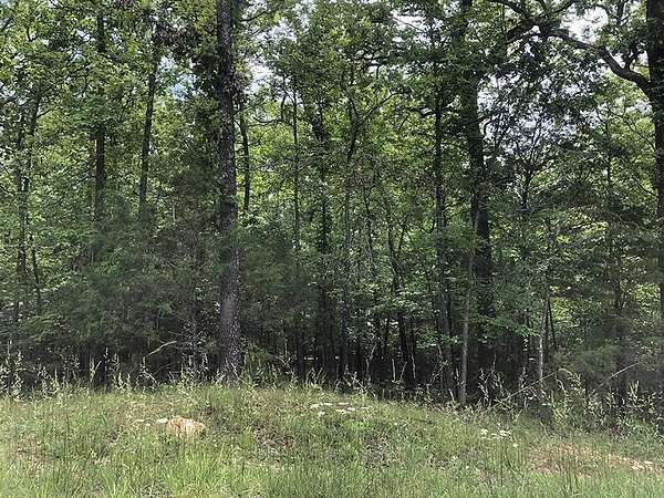 0.41 Acres of Residential Land for Sale in Horseshoe Bend, Arkansas