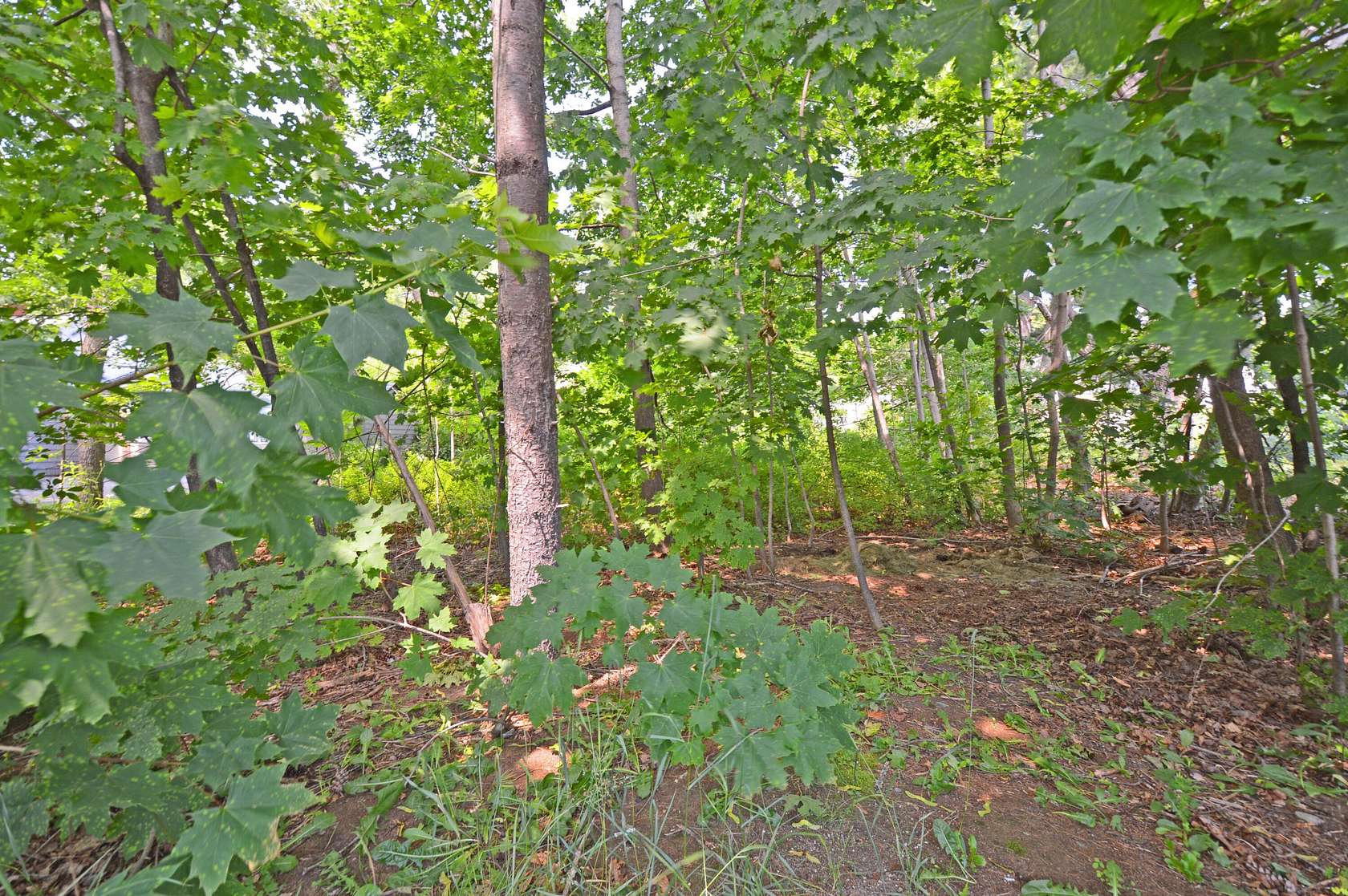 0.2 Acres of Residential Land for Sale in Biddeford, Maine