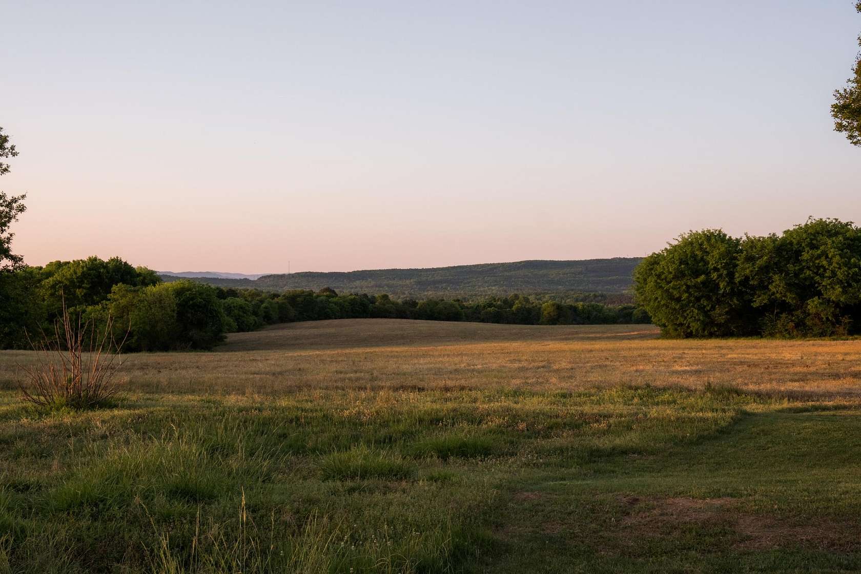 232 Acres of Land for Sale in Collinsville, Alabama