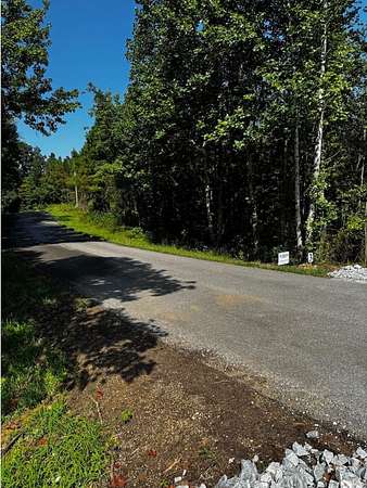 20 Acres of Recreational Land for Sale in Camden, Tennessee