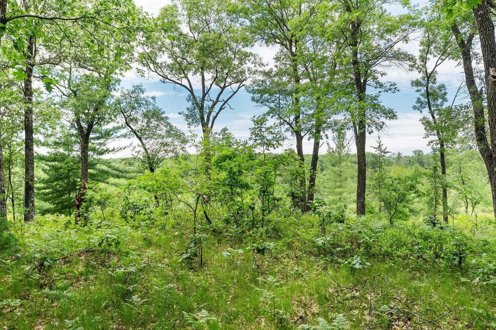 41.1 Acres of Land for Sale in Grand Marsh, Wisconsin