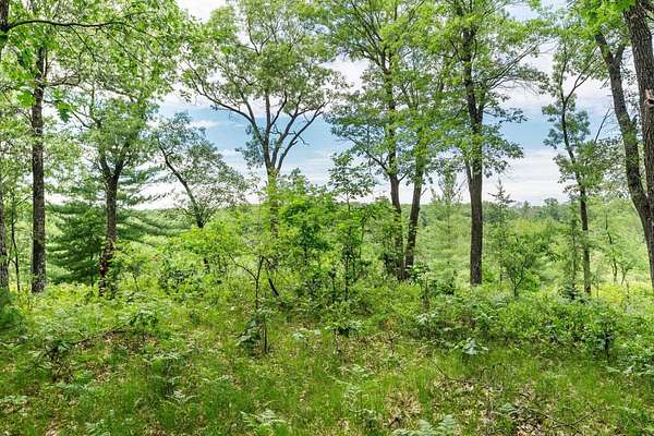 41.1 Acres of Land for Sale in Grand Marsh, Wisconsin