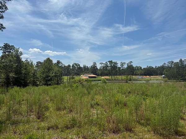 0.62 Acres of Land for Sale in Donalsonville, Georgia