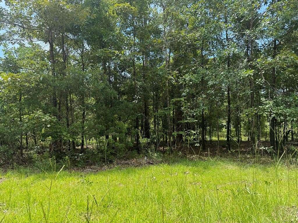 0.57 Acres of Land for Sale in Donalsonville, Georgia
