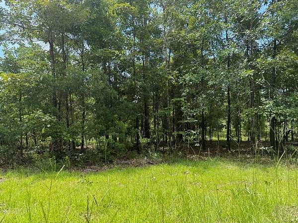 0.57 Acres of Land for Sale in Donalsonville, Georgia