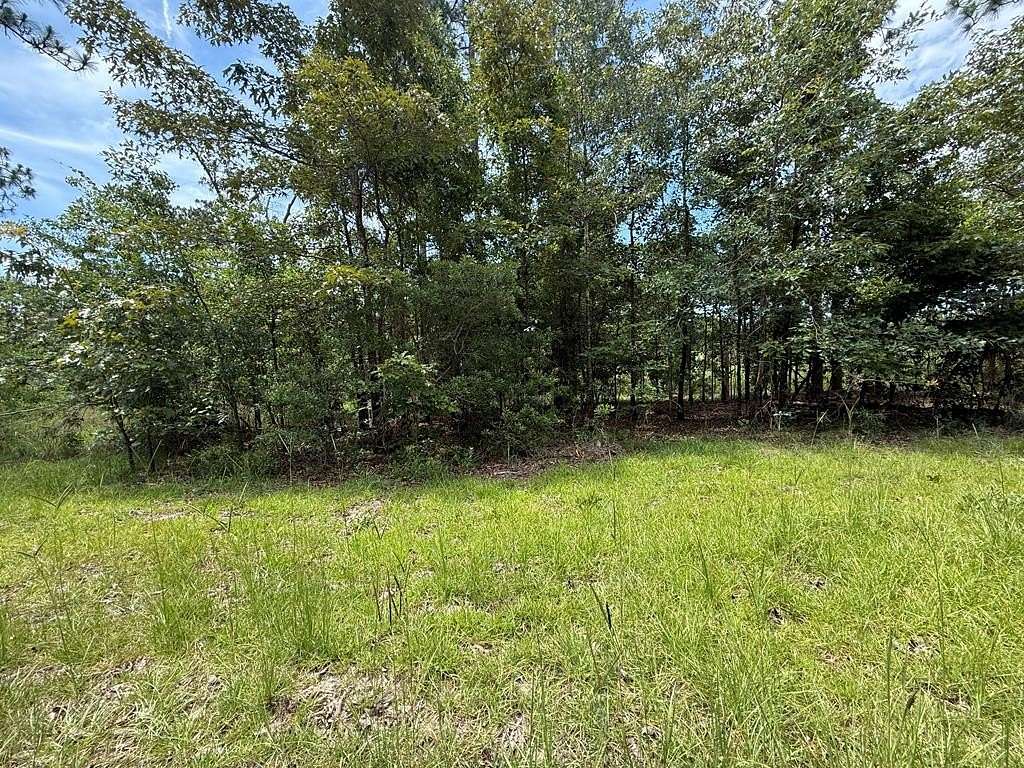 0.58 Acres of Land for Sale in Donalsonville, Georgia