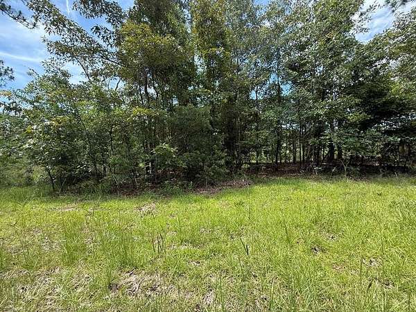 0.58 Acres of Land for Sale in Donalsonville, Georgia