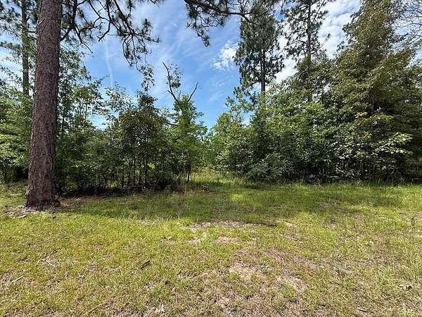 0.42 Acres of Land for Sale in Donalsonville, Georgia