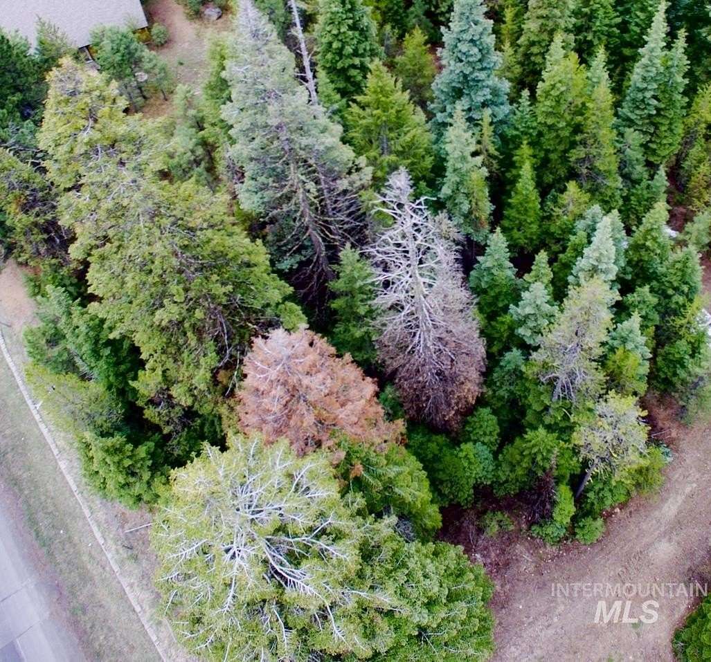 0.29 Acres of Residential Land for Sale in McCall, Idaho