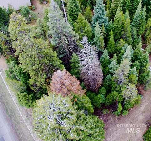 0.29 Acres of Residential Land for Sale in McCall, Idaho