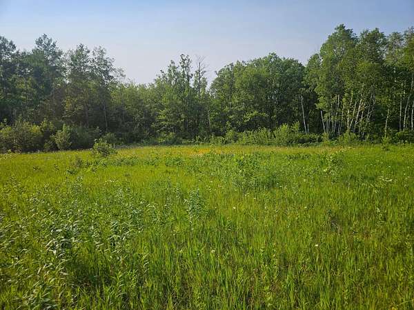 2.5 Acres of Residential Land for Sale in Crosby, Minnesota