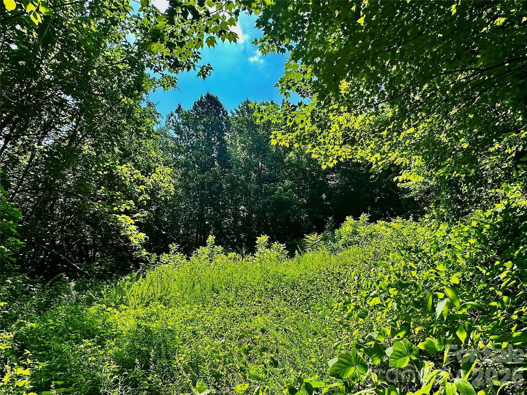 109 Acres of Recreational & Residential Land for Sale in Saluda, North Carolina