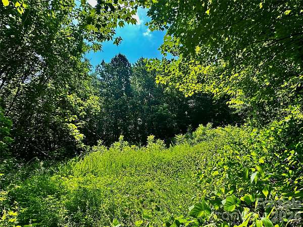 109 Acres of Recreational & Residential Land for Sale in Saluda, North Carolina