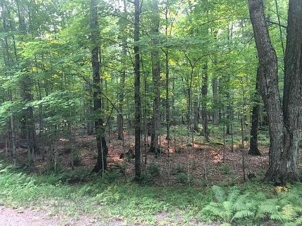 28 Acres of Recreational & Residential Land for Sale in Presque Isle, Wisconsin