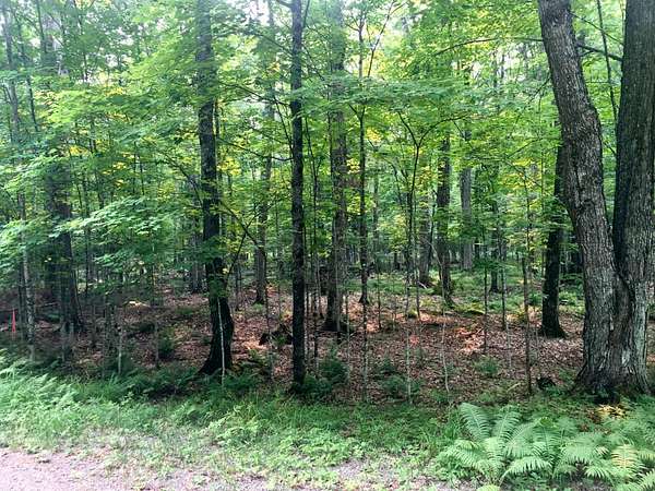 28 Acres of Recreational & Residential Land for Sale in Presque Isle, Wisconsin