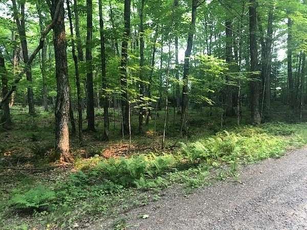 80 Acres of Recreational & Residential Land for Sale in Presque Isle, Wisconsin