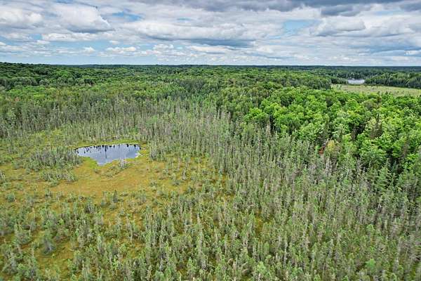 80 Acres of Recreational & Residential Land for Sale in Presque Isle, Wisconsin