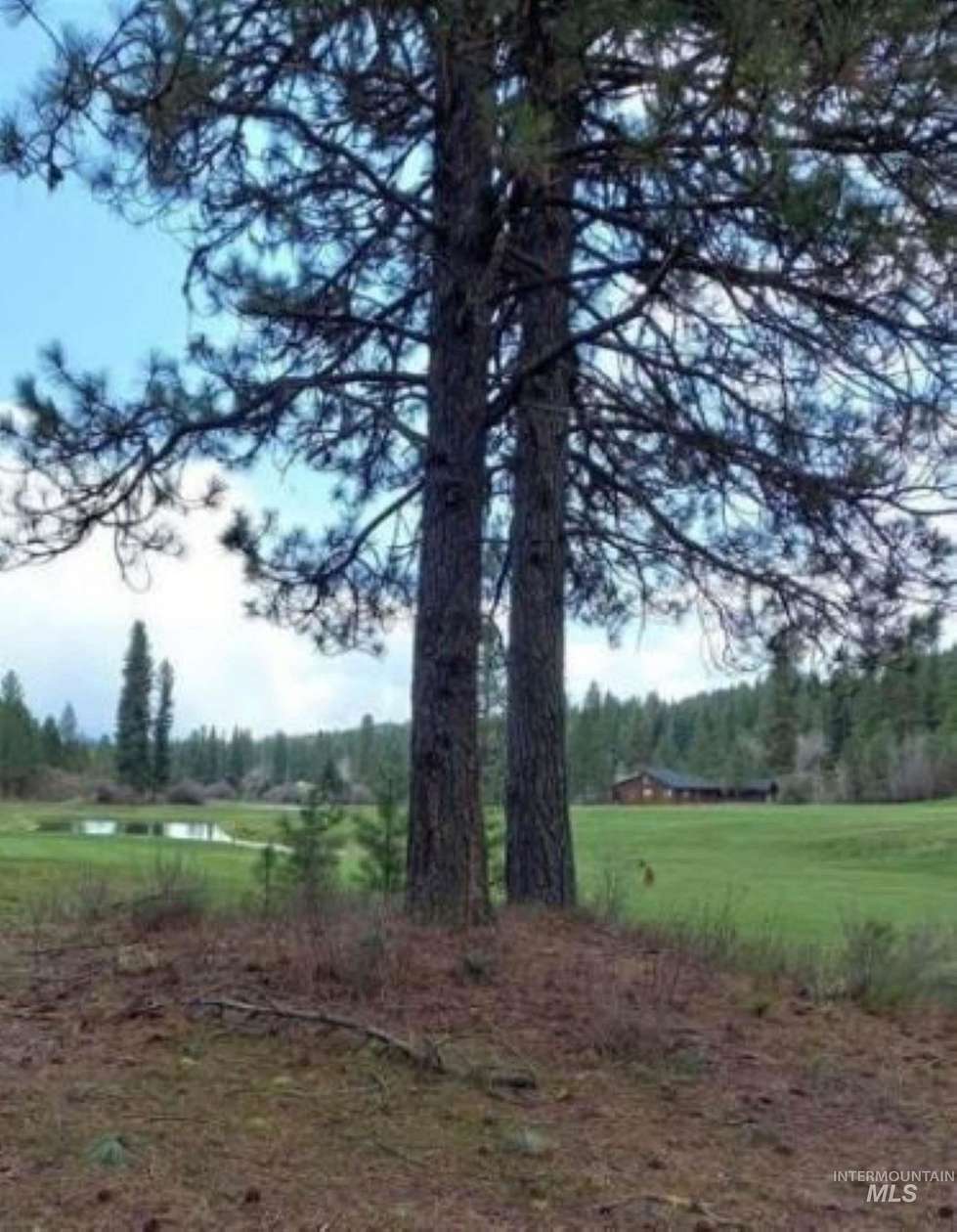 0.45 Acres of Land for Sale in New Meadows, Idaho