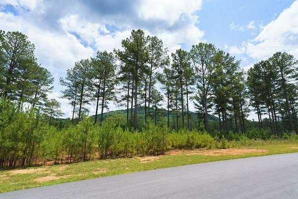 2.76 Acres of Residential Land for Sale in Blairsville, Georgia