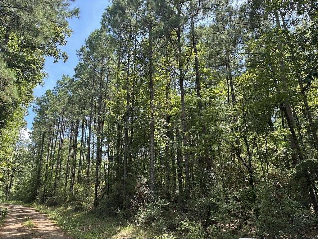 3 Acres of Land for Sale in Shelbyville, Texas