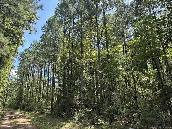 3 Acres of Land for Sale in Shelbyville, Texas