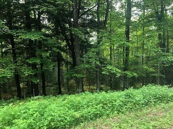 6 Acres of Residential Land for Sale in Presque Isle, Wisconsin