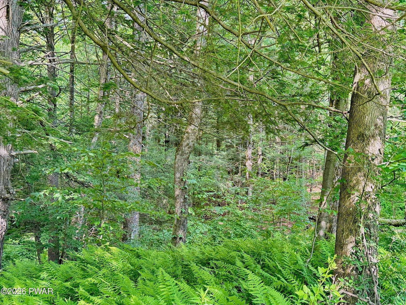 3.2 Acres of Residential Land for Sale in Pleasant Mount, Pennsylvania