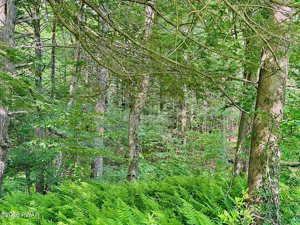 3.2 Acres of Residential Land for Sale in Pleasant Mount, Pennsylvania