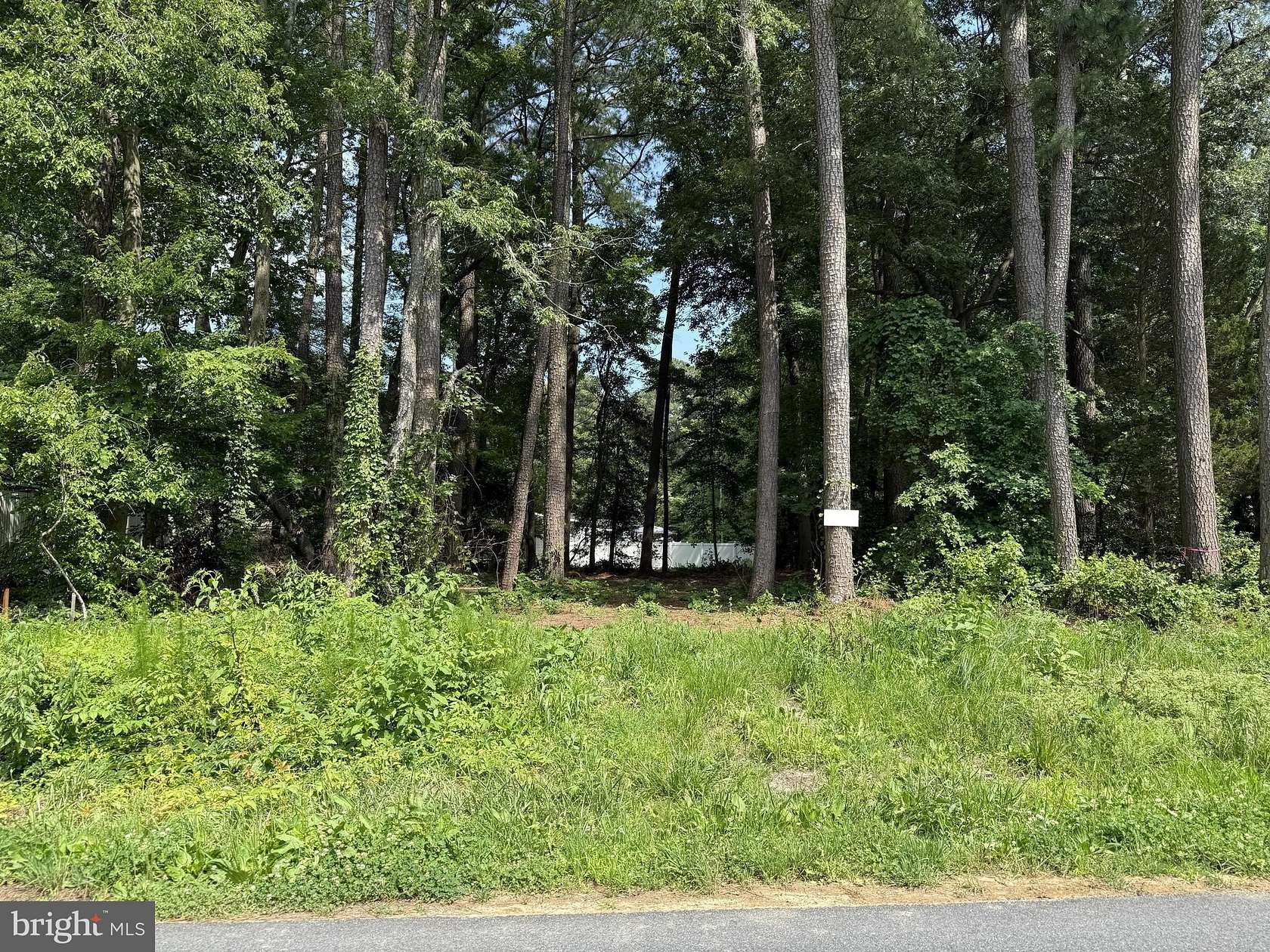 0.21 Acres of Land for Sale in Millsboro, Delaware
