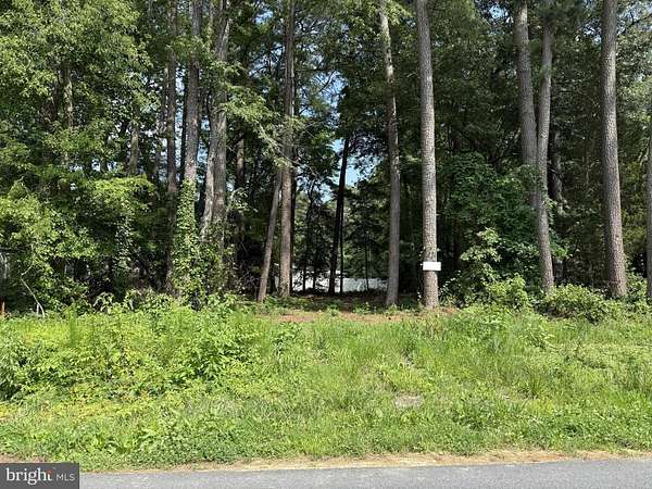 0.21 Acres of Land for Sale in Millsboro, Delaware
