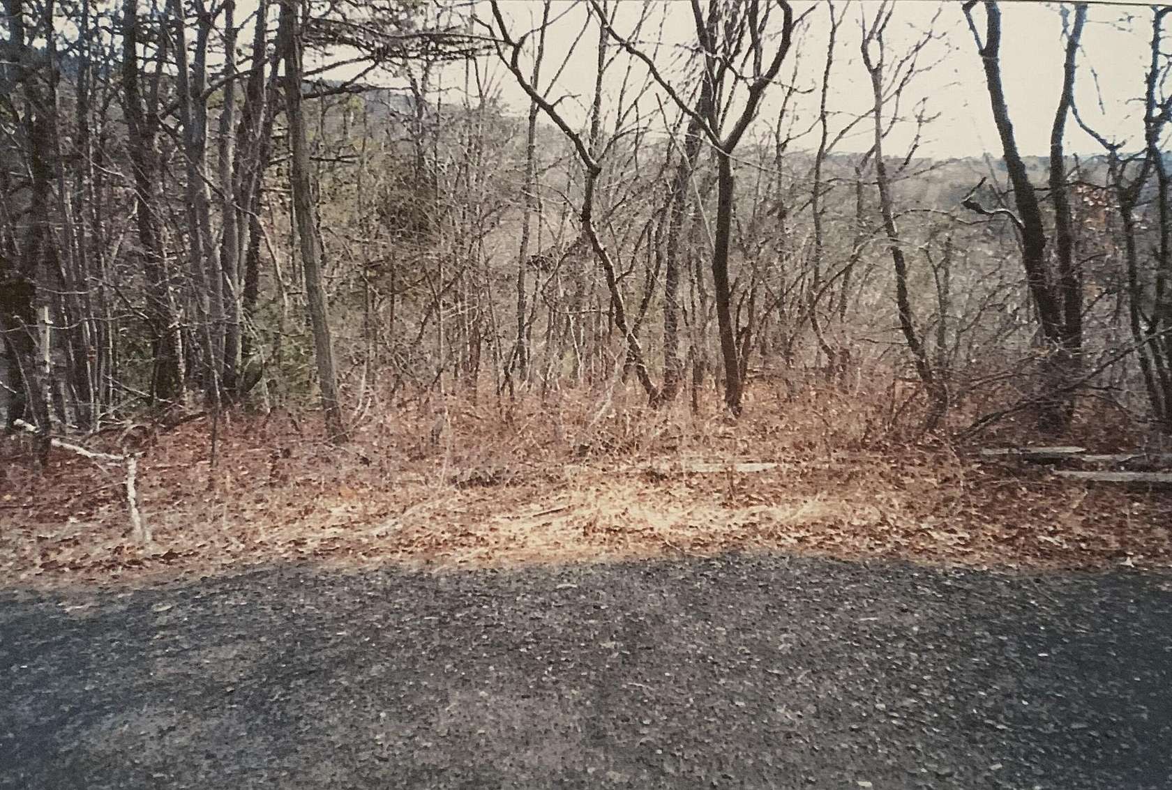 0.35 Acres of Residential Land for Sale in East Stroudsburg, Pennsylvania