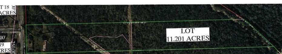 11.2 Acres of Land for Sale in Alice, Texas