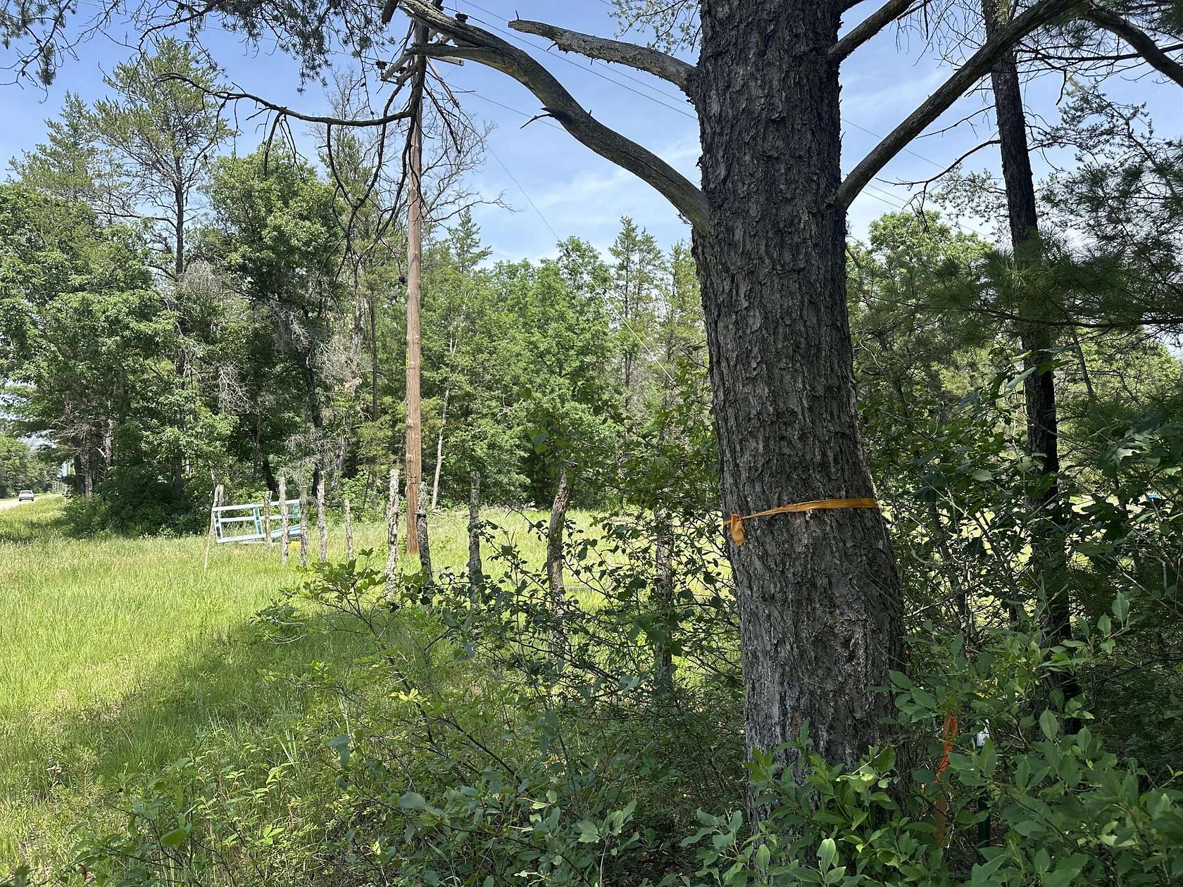 7.4 Acres of Land for Sale in Idlewild, Michigan