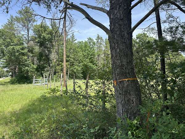 7.4 Acres of Land for Sale in Idlewild, Michigan