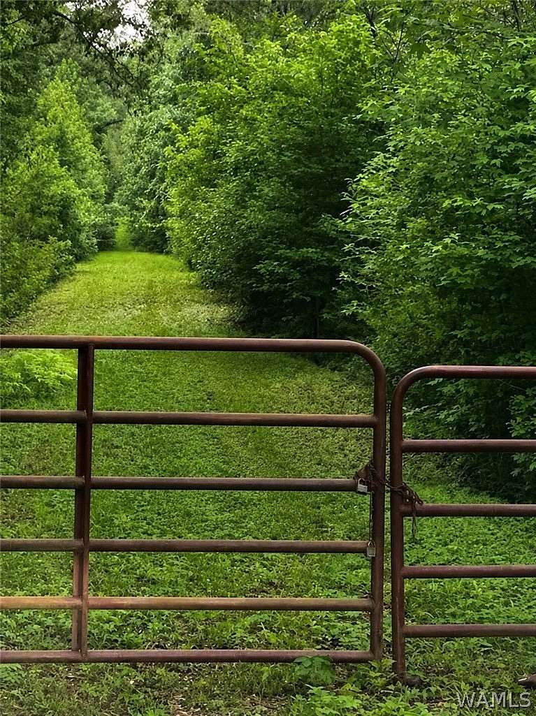 18 Acres of Recreational & Residential Land for Sale in Northport, Alabama