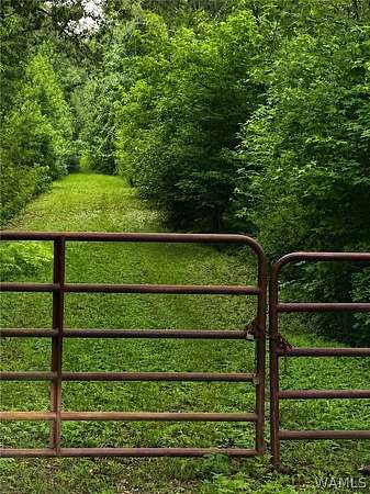 18 Acres of Recreational & Residential Land for Sale in Northport, Alabama