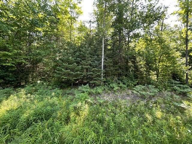5.15 Acres of Residential Land for Sale in Hayward, Wisconsin