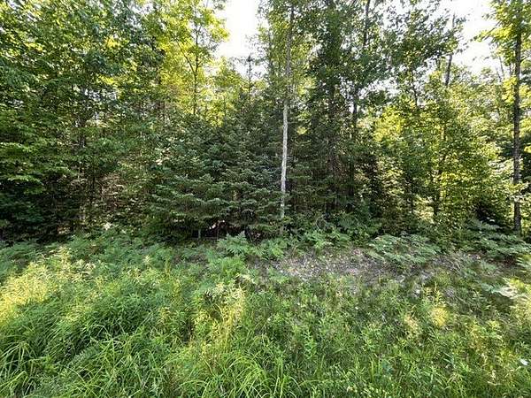 5.15 Acres of Residential Land for Sale in Hayward, Wisconsin